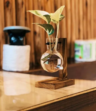 Crystal Bungalow DELUXE – Photos 13